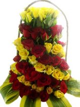 80 red and yellow roses in spiral