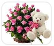 Teddy Bear 6 inches 12 pink roses in the same basket