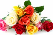 Bouquet of 10 assorted roses