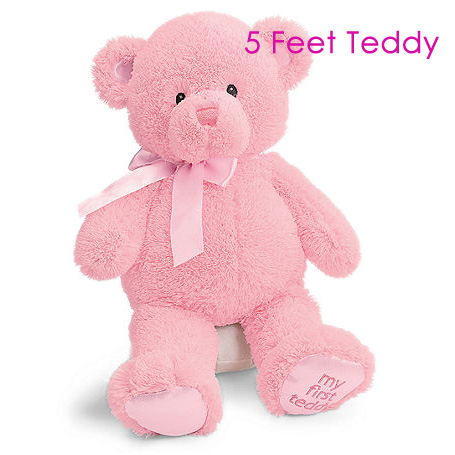 Teddy 5 Feet Pink