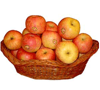 2 Kg Apples in basket