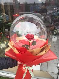 1 Red rose inside a transparent balloon with Red Wrapping