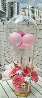 12 Pink Gerberas basket tied to a hot air balloon with small pink balloons stuffed inside