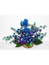 10 Blue Orchids in Basket