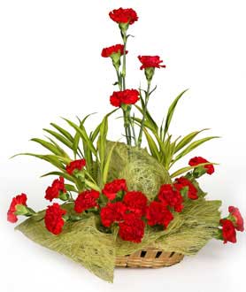 Arrangement of Red Carnations