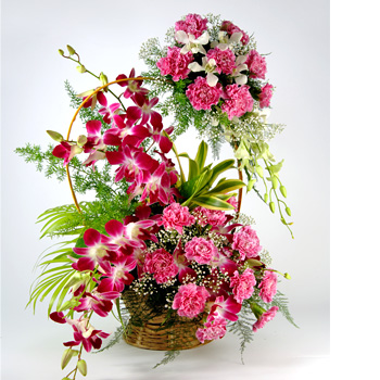4 Purple orchids at base and 20 pink carnations in double Tier Hanging from handle of basket