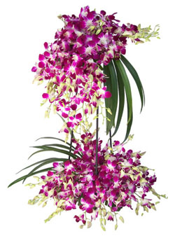 20 Purple Orchids on a stand