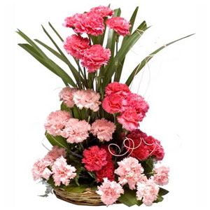 Light and Dark 20 Pink carnations basket