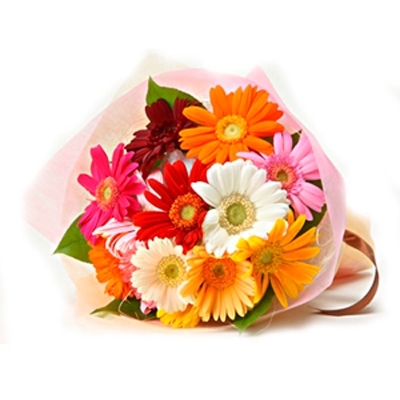 8 Mix colour gerberas in bouquet