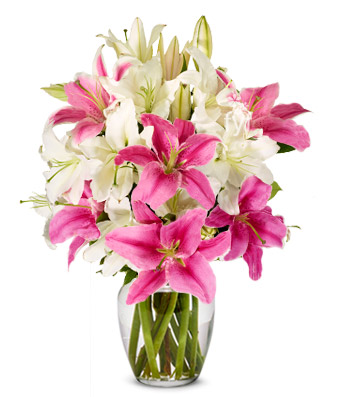 10 Pink and white Lilies Vase
