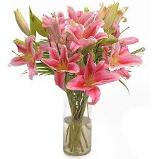 6 Pink Lilies in a Vase