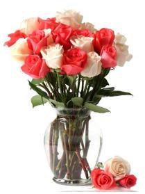 12 Pink and Red Roses in Vase