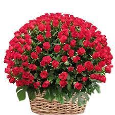 100 Red Roses Basket