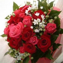 15 Pink and red roses