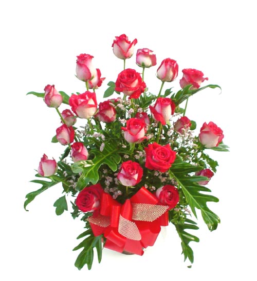 flowers roses pink. 12 Pink Roses Basket