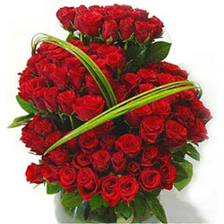 http://www.allindiaflowers.com/Images/roses32.jpg
