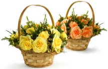Two Baskets 12 Yellow and 12 Orange roses
