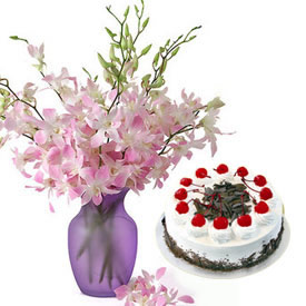 Orchids Vase+1/2Kg Cake