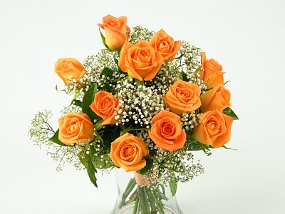 12 Orange Roses in a Vase