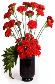12 Carnations in a Vase