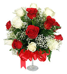 12 Red and White Roses in a Vase