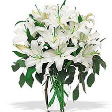 12 white Liliums Vase