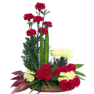 18 Red and Yellow carnations in a basket