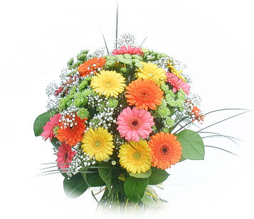 12 Gerbera Bouquet