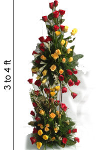 3 to 4 Feet 100 Mix Roses