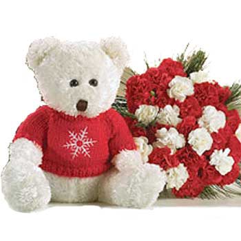 White Teddy with 24 Red and white carnations