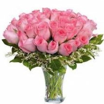 24 Pink Roses in a Vase