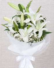 5 White Lily wrappred in white paper
