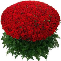 100 Red Roses Bouquet