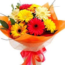 Bouquet of 8 coloured gerberas