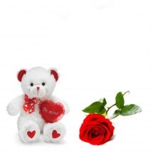 Teddy bear (6 inches) with heart and 1 Red rose