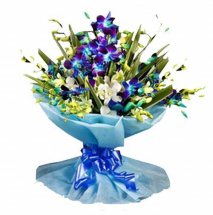 6 BLUE ORCHDS BOUQUET