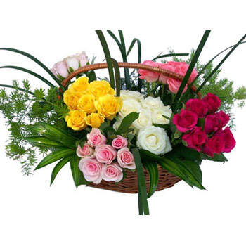 50 Multicoloured Roses Arrangement