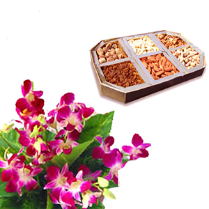 250 grams Dryfruits and 4 orchids