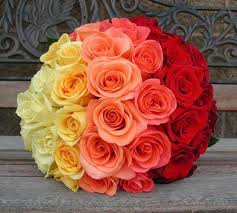 Ombre Roses Basket 2 dozen